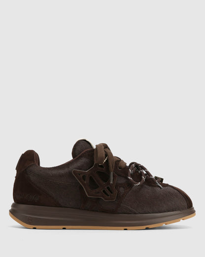 Expense Brown Pony