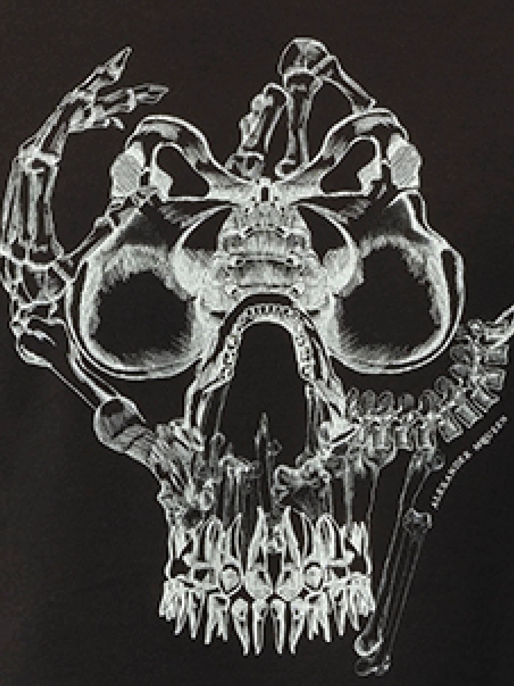 Skull Bones T-Shirt in Black