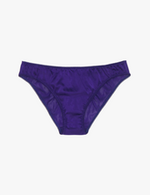 Gwyneth Panty Aster