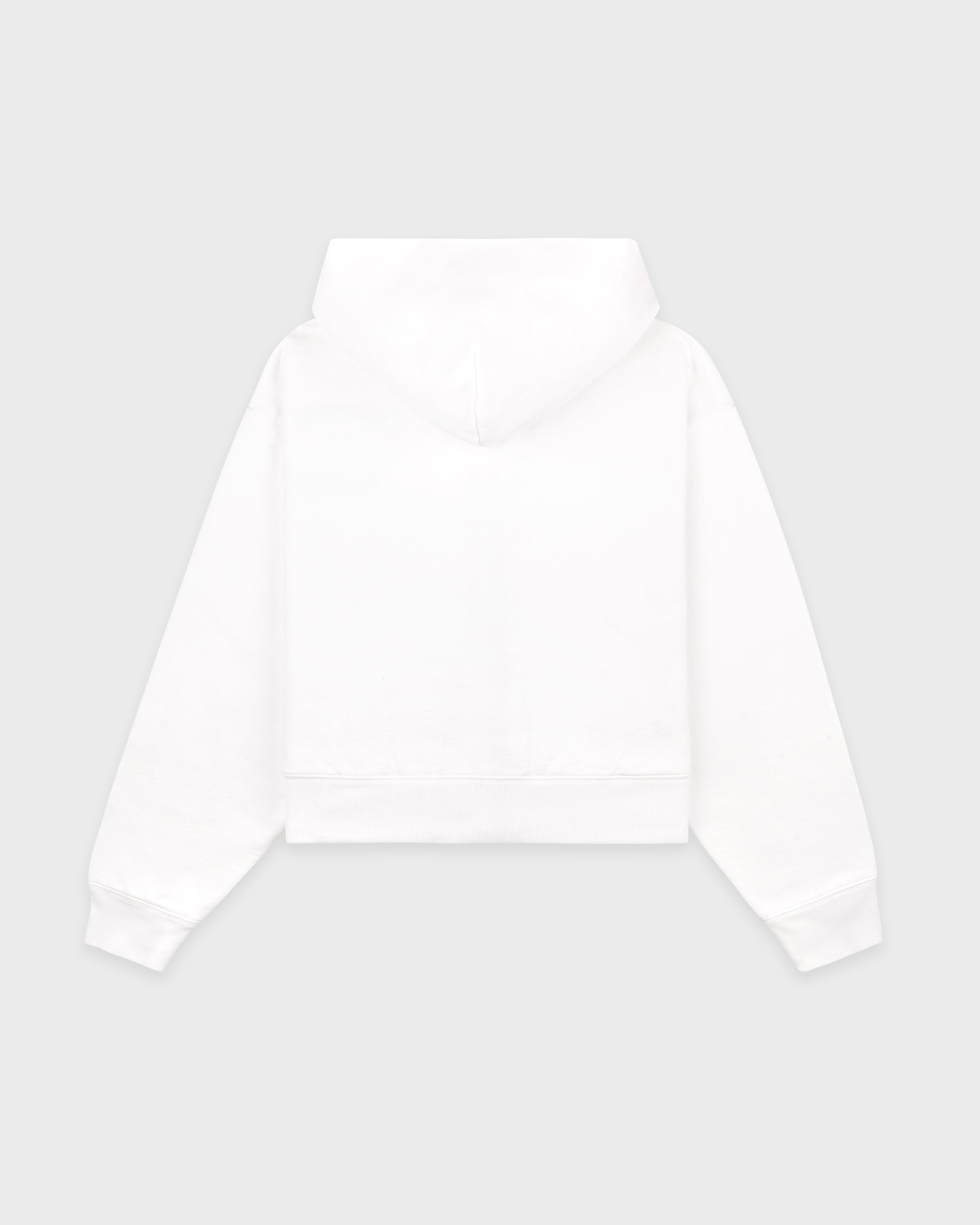 Homerun Cropped Zip Hoodie - White