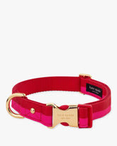 Colorblock Collar