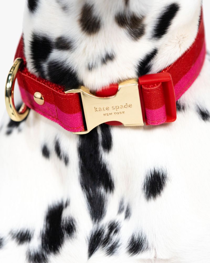 Colorblock Collar