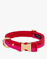 Colorblock Collar