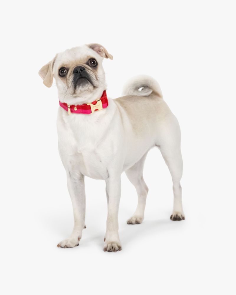 Colorblock Collar
