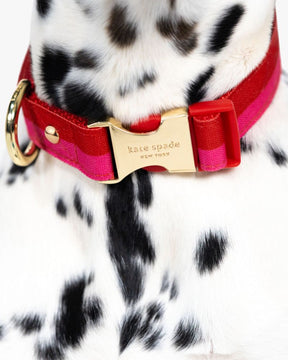 Colorblock Collar