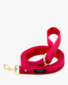 Colorblock Leash
