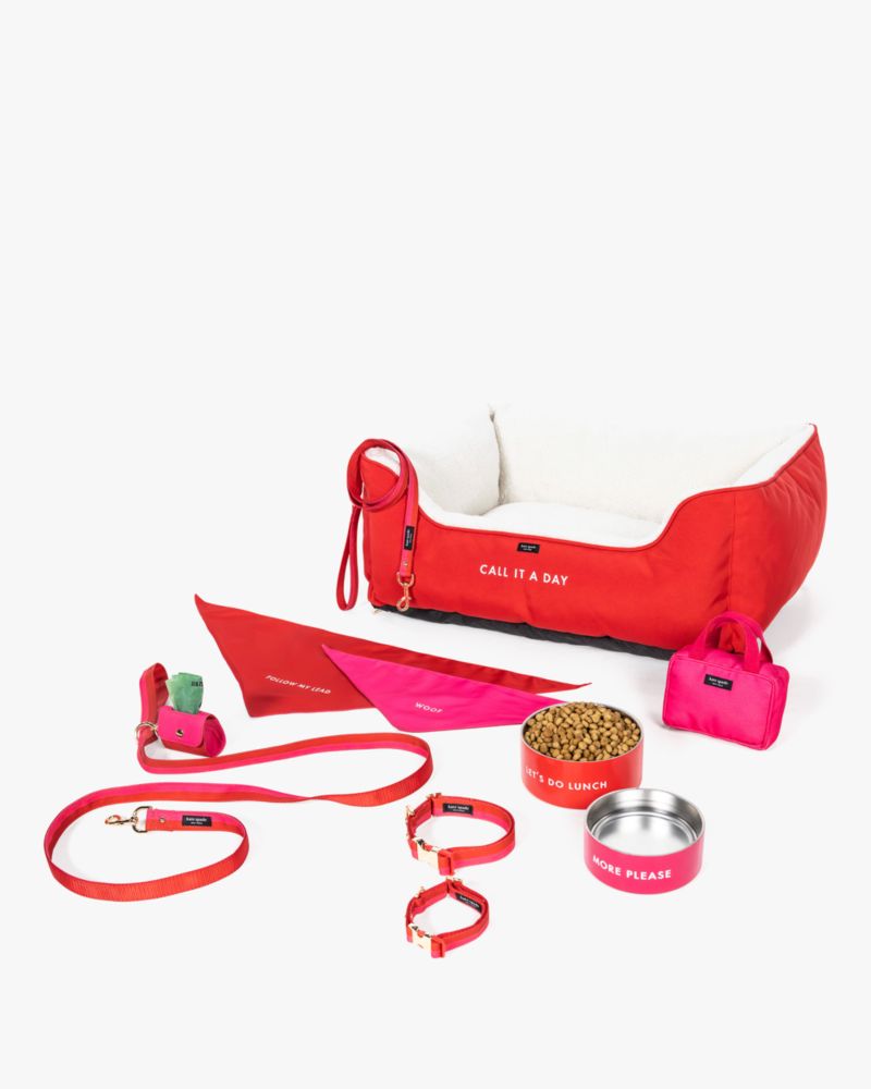 Colorblock Leash