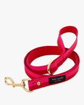 Colorblock Leash S/m