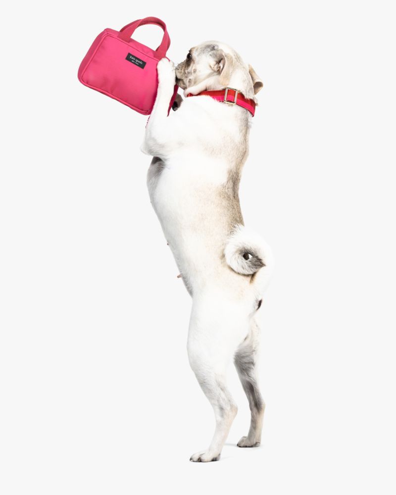 Handbag Pet Toy