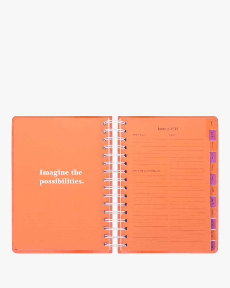 It's Your Lucky Day 2024-25 17-month Large Planner