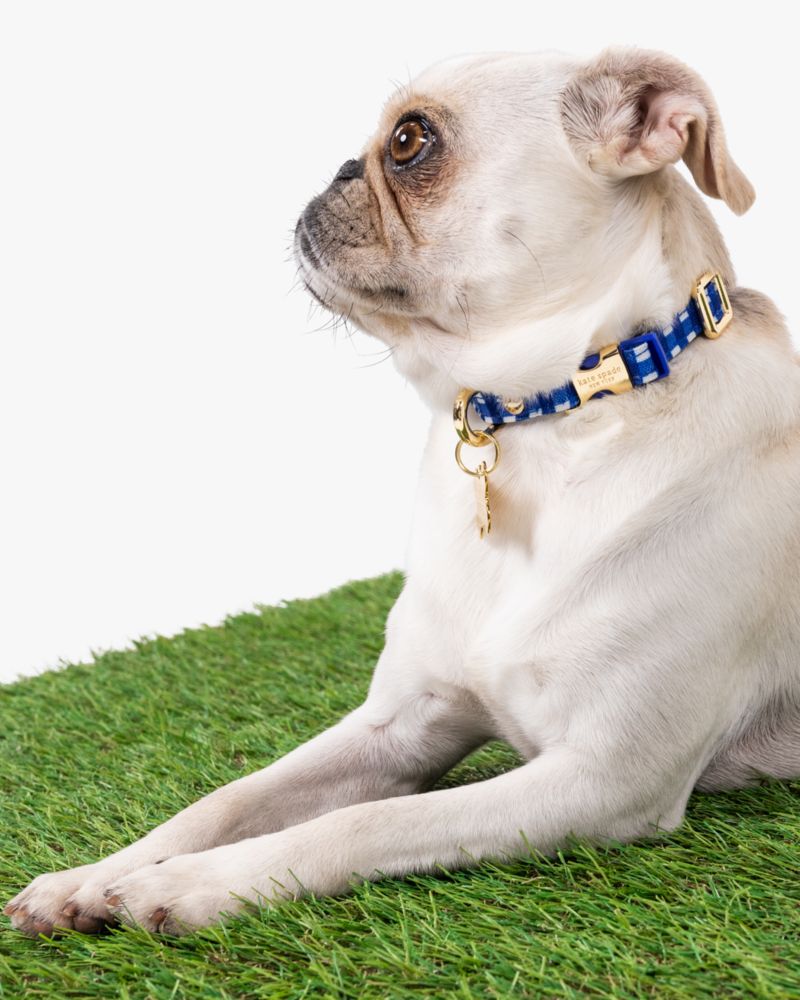 Navy Gingham Collar XS