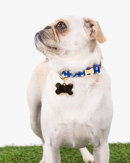 Navy Gingham Collar XS