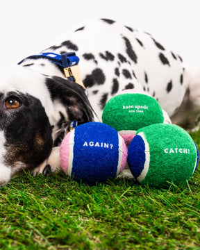 Tennis Ball Set