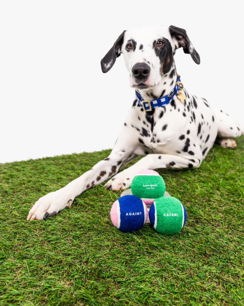 Tennis Ball Set