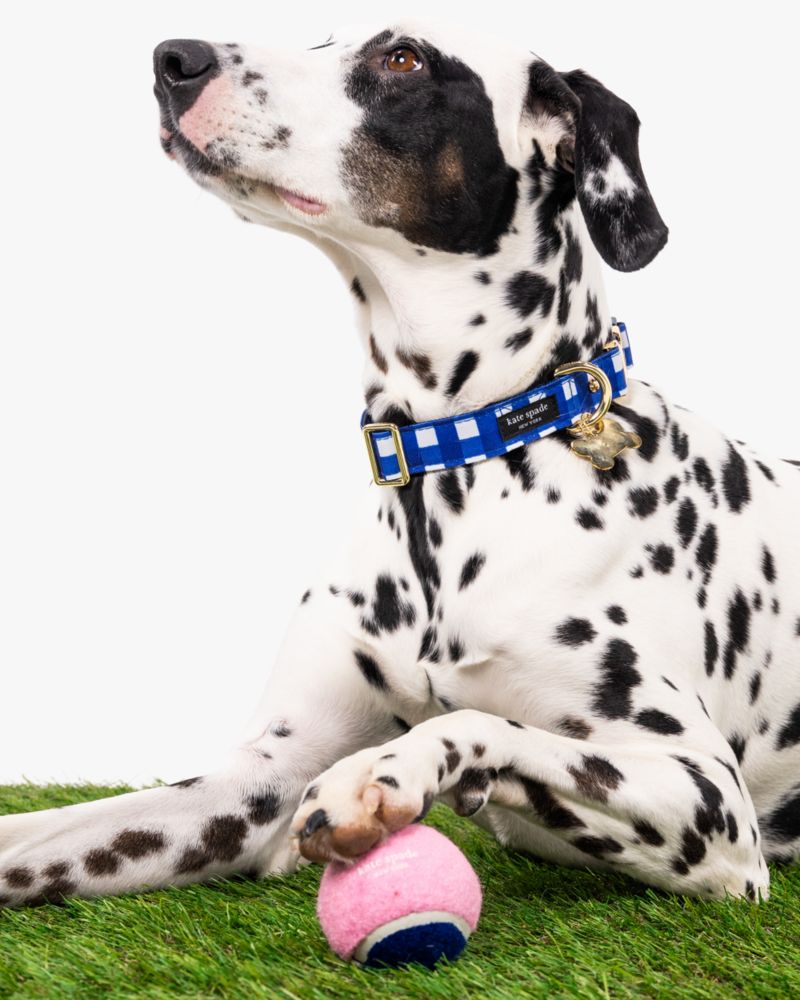 Tennis Ball Set