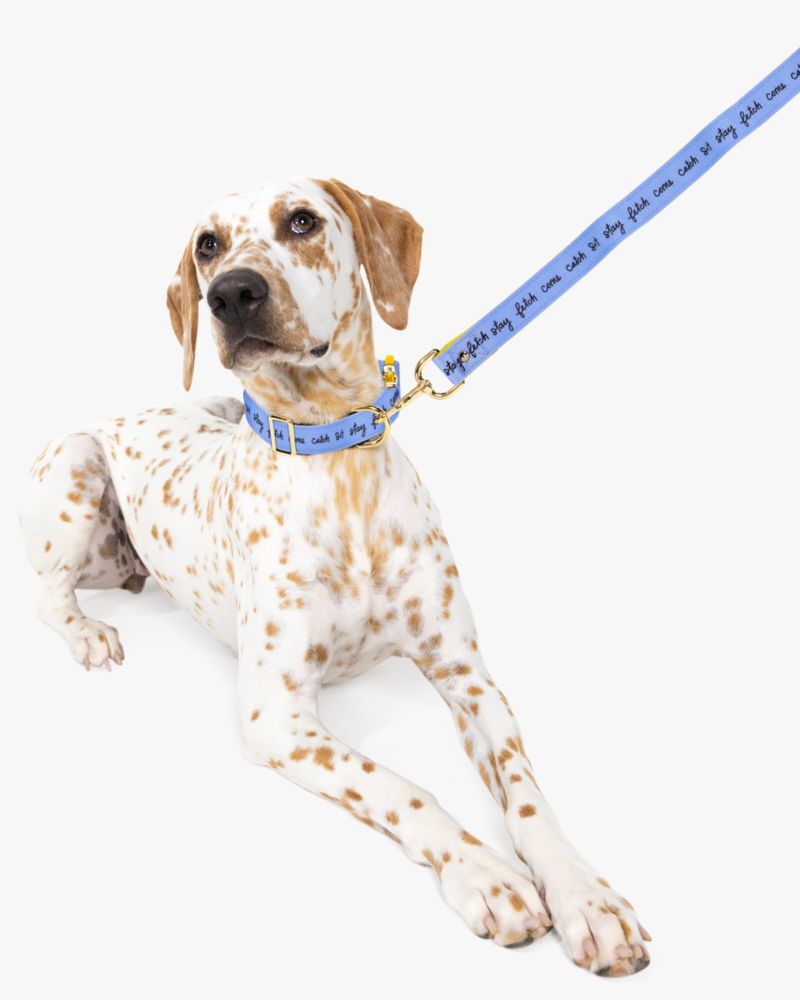 Raining Cats And Dogs Leash (m/l)