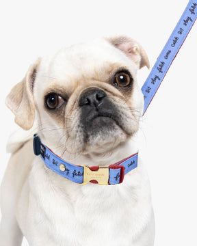 Raining Cats And Dogs Leash (s/m)