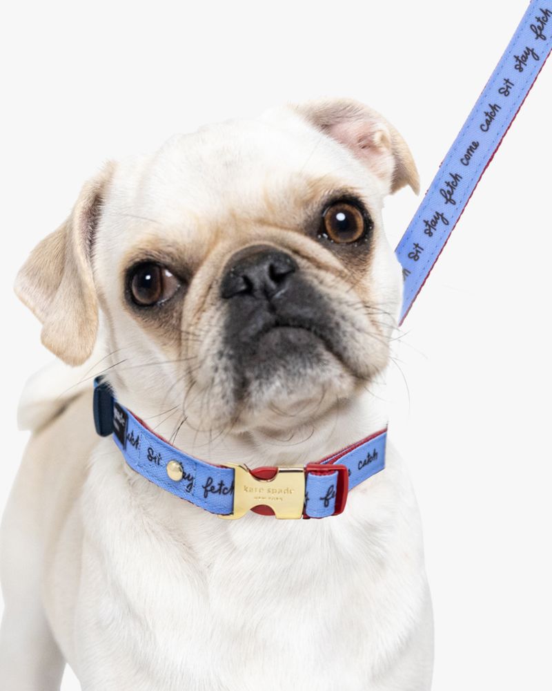Raining Cats And Dogs Leash (s/m)