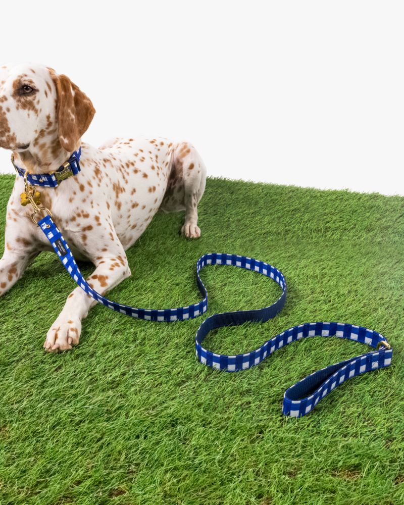 Navy Gingham Leash M/L