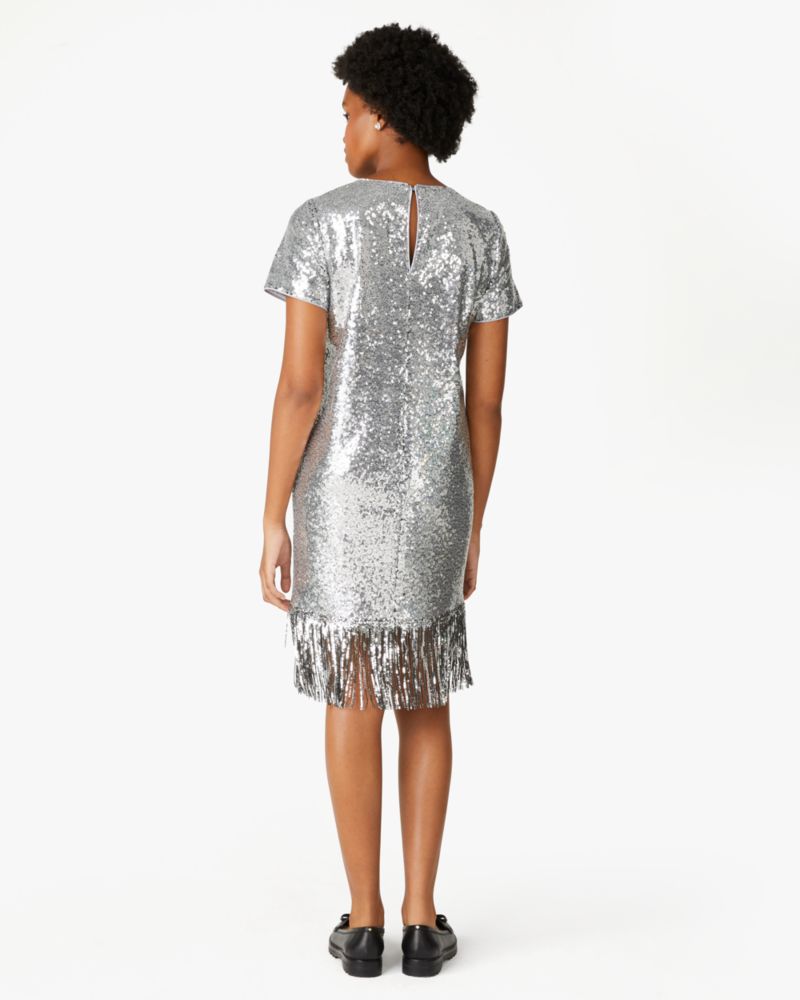 Sequin Fringe Dress