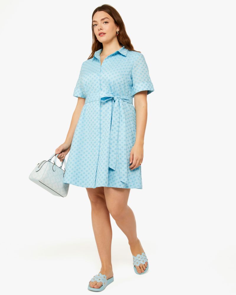 Embroidered Shirtdress