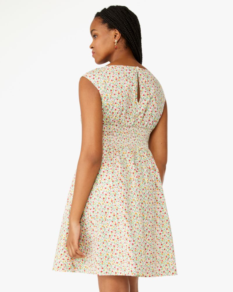 Ditsy Blossom Blaire Dress