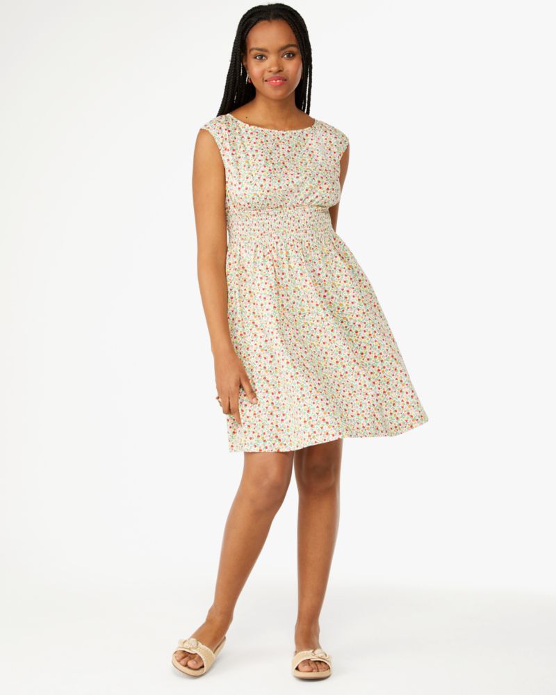 Ditsy Blossom Blaire Dress