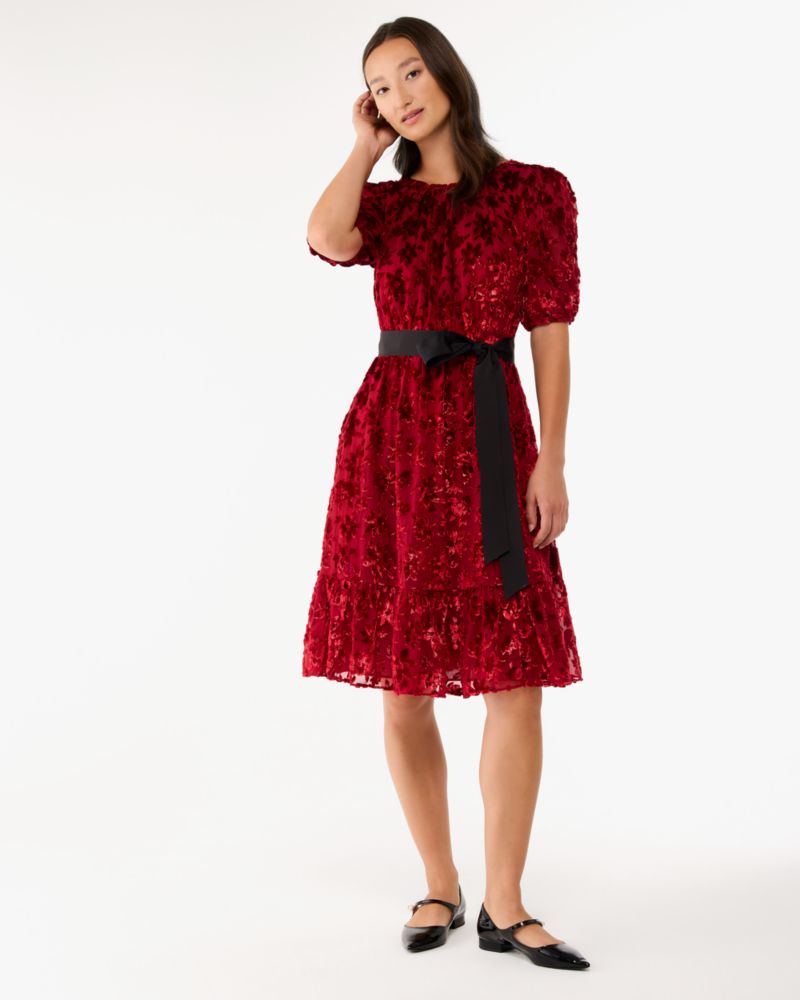 Winter Blooms Velvet Dress