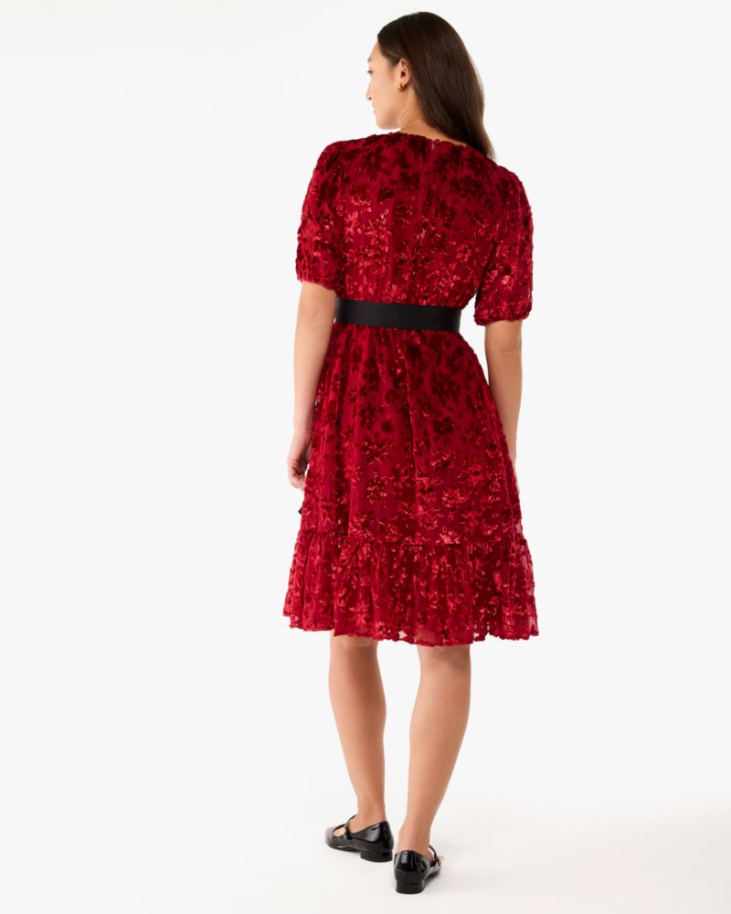 Winter Blooms Velvet Dress