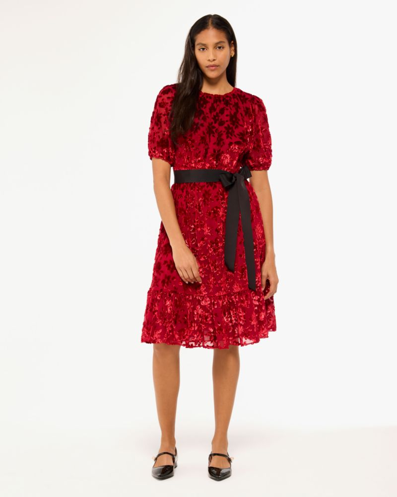 Winter Blooms Velvet Dress