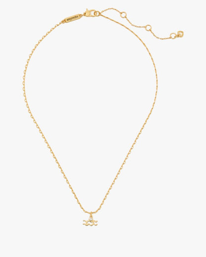 What's Your Sign Aquarius Mini Pendant