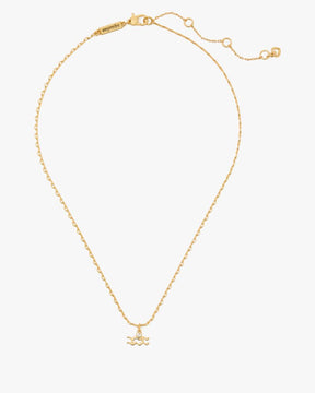 What's Your Sign Aquarius Mini Pendant