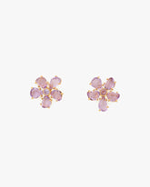 Paradise Studs