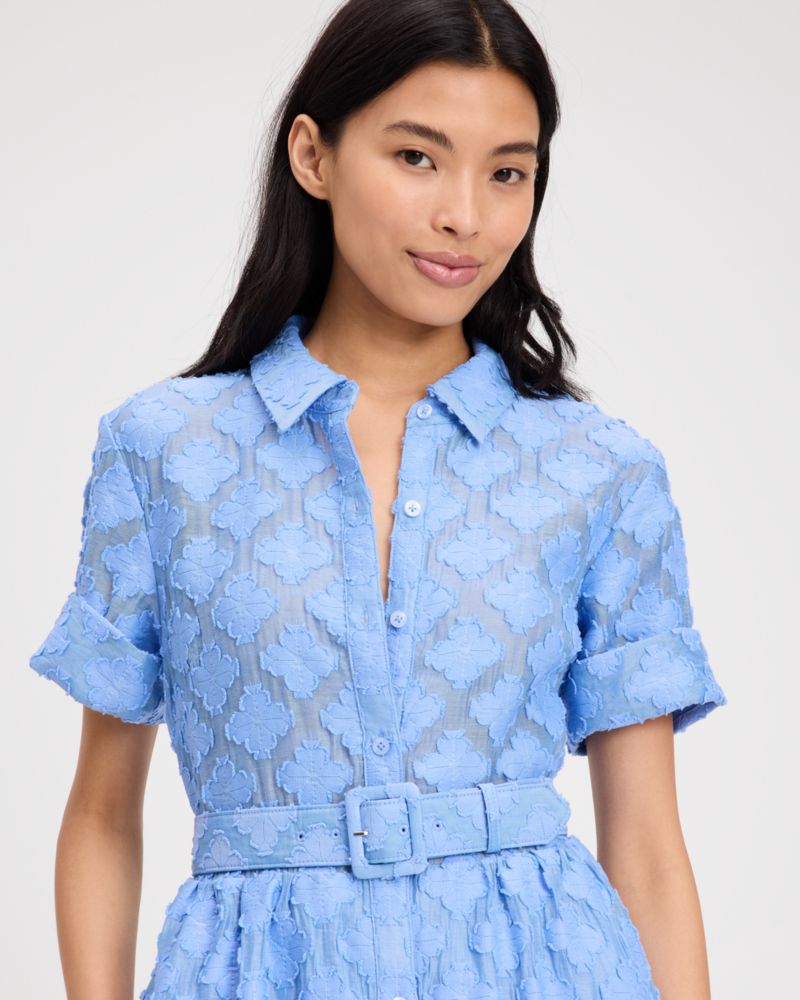 Belted Midi Shirt Dress