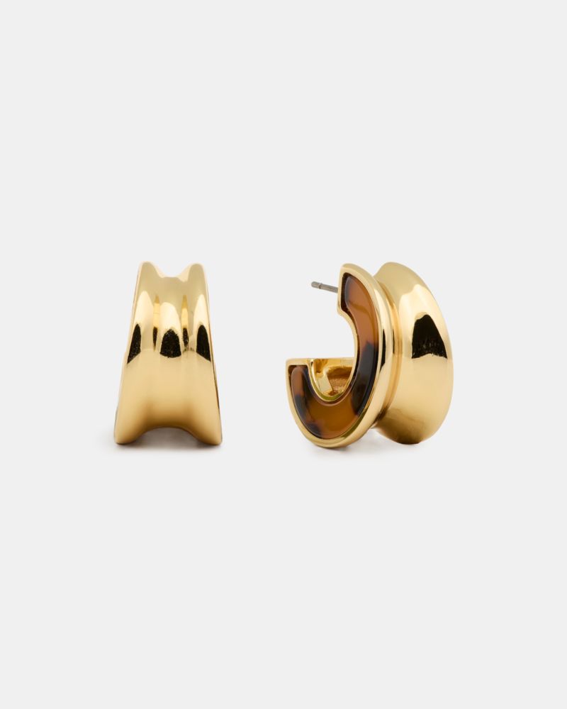 Bold Small Hoops