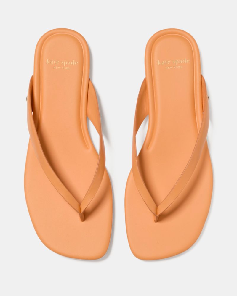 Sandie Flip Flop Sandals
