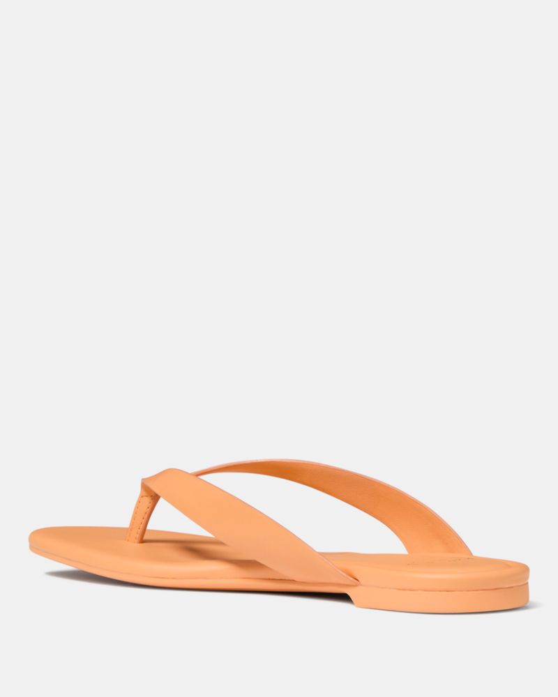 Sandie Flip Flop Sandals