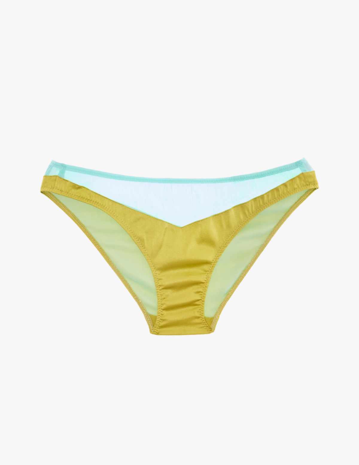 Aaron Panty Hummingbird