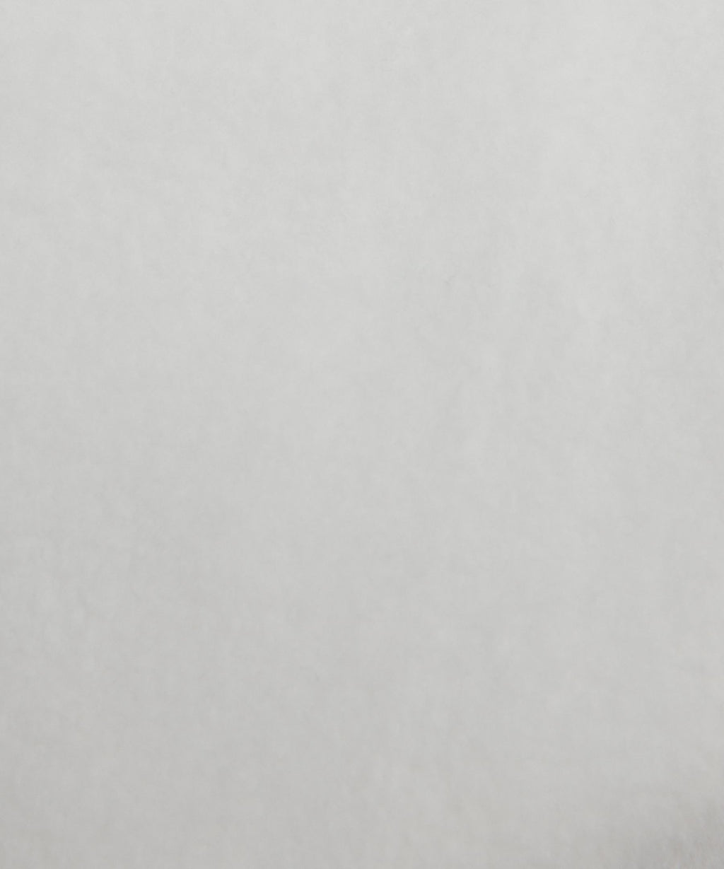 Heavyweight Fleece Pullover *Tennis Club