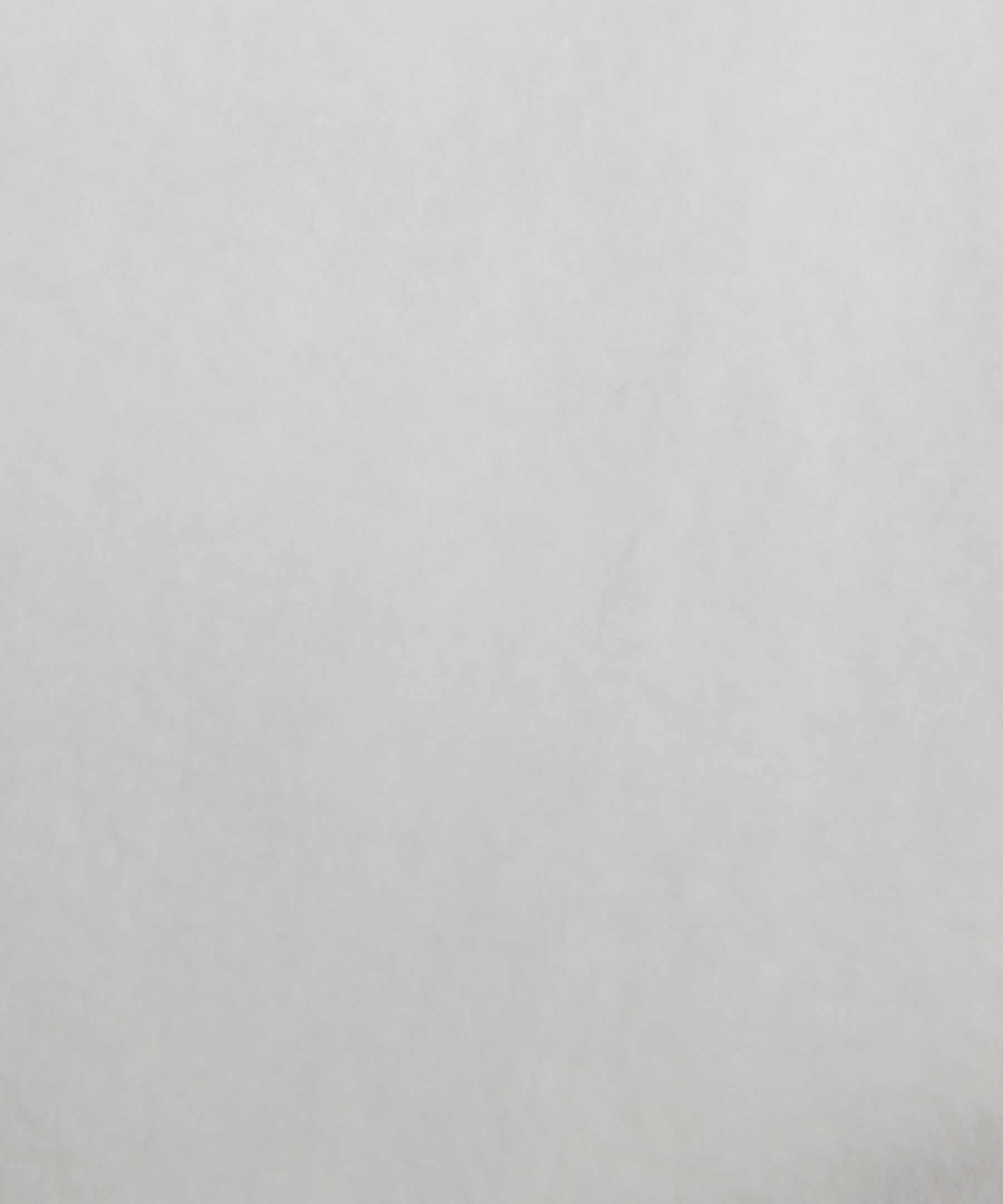 Heavyweight Fleece Pullover *Tennis Club