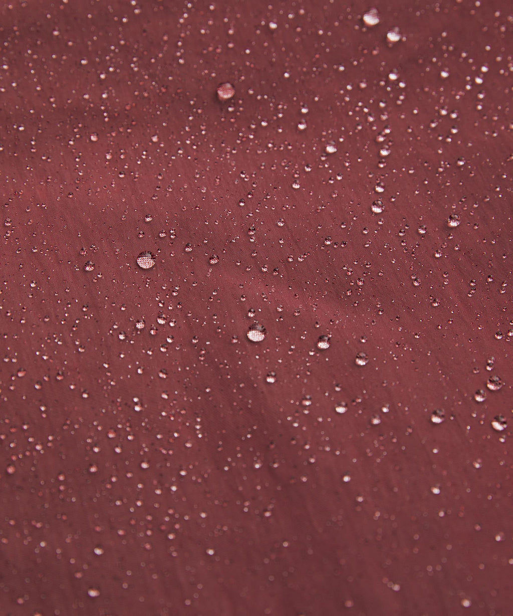 Women's Collegiate Bomber Jacket