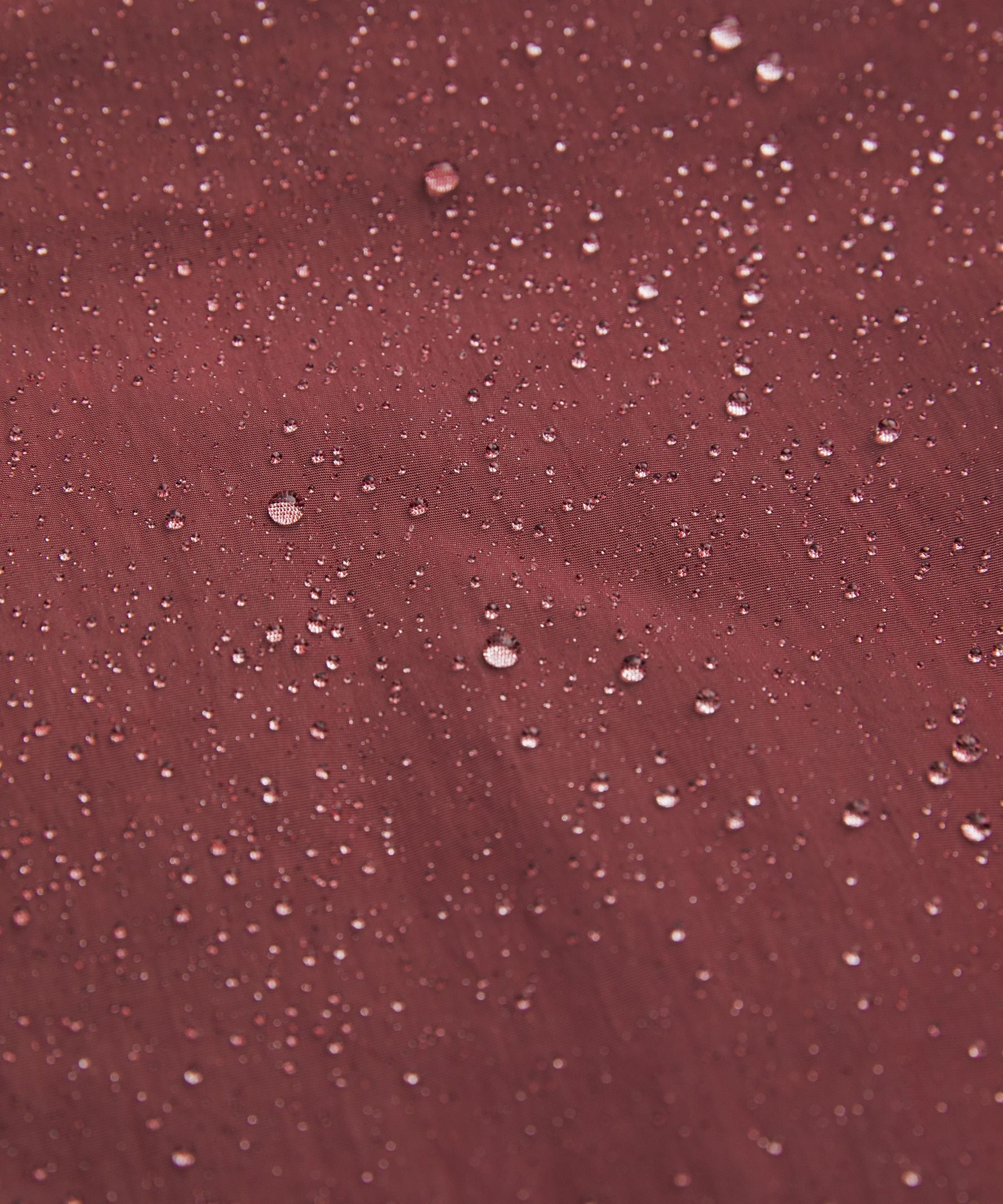 Women's Collegiate Bomber Jacket