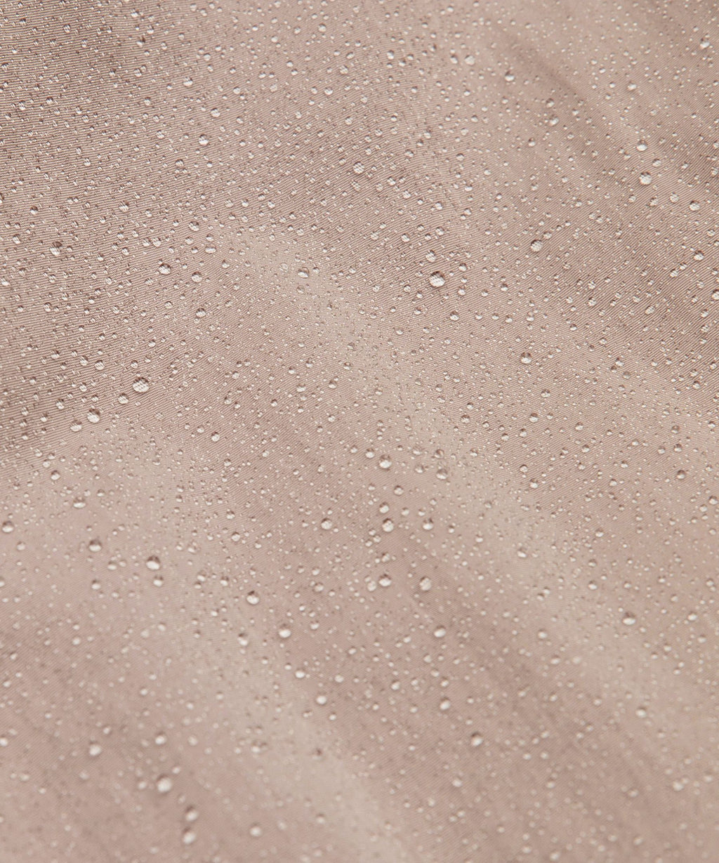 Women's Collegiate Bomber Jacket