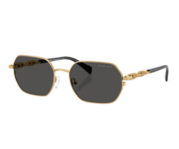 SAINT MARTIN 1165 1896/87 57