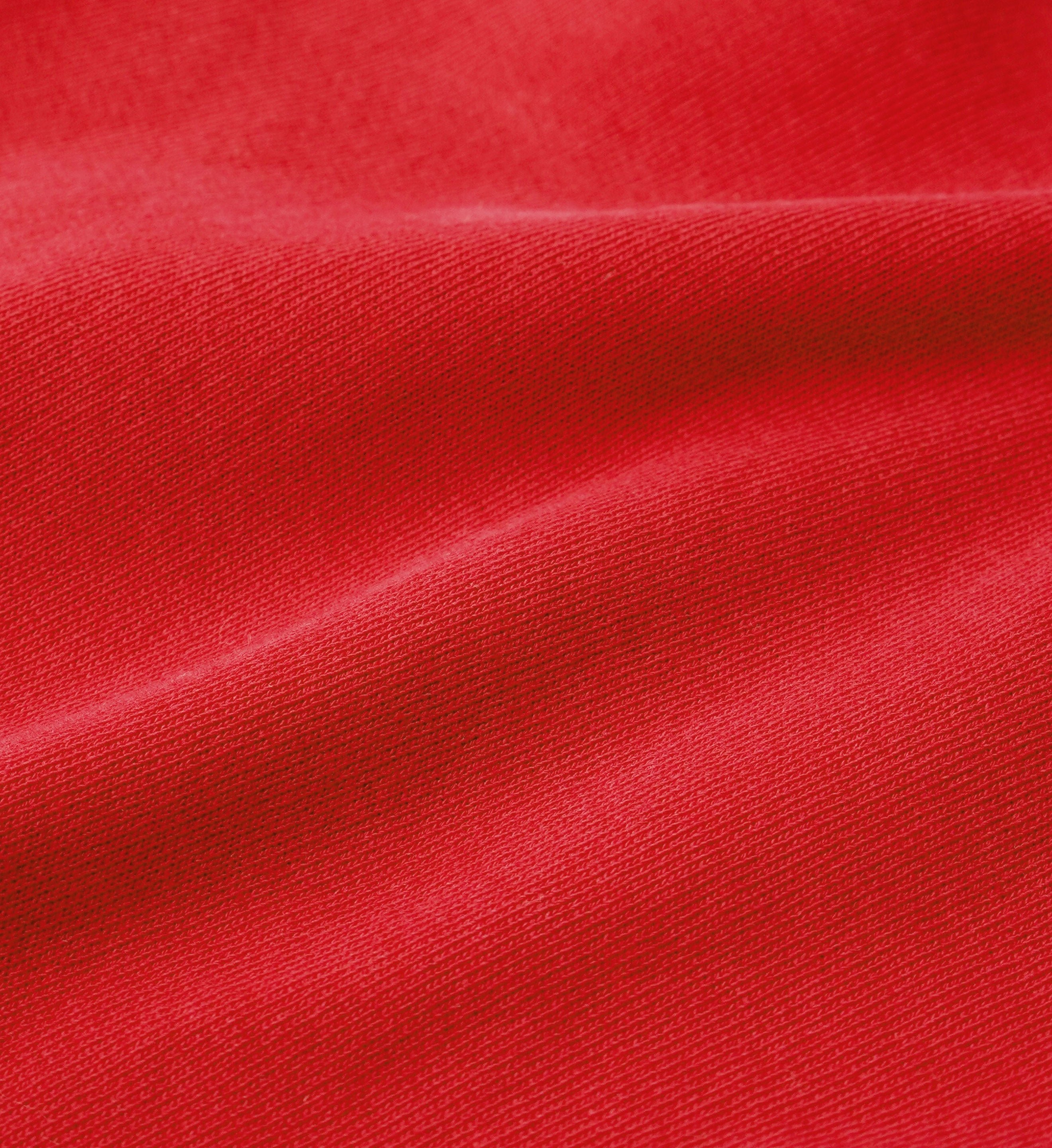 Yankees Ivy Crewneck - Fire red/White