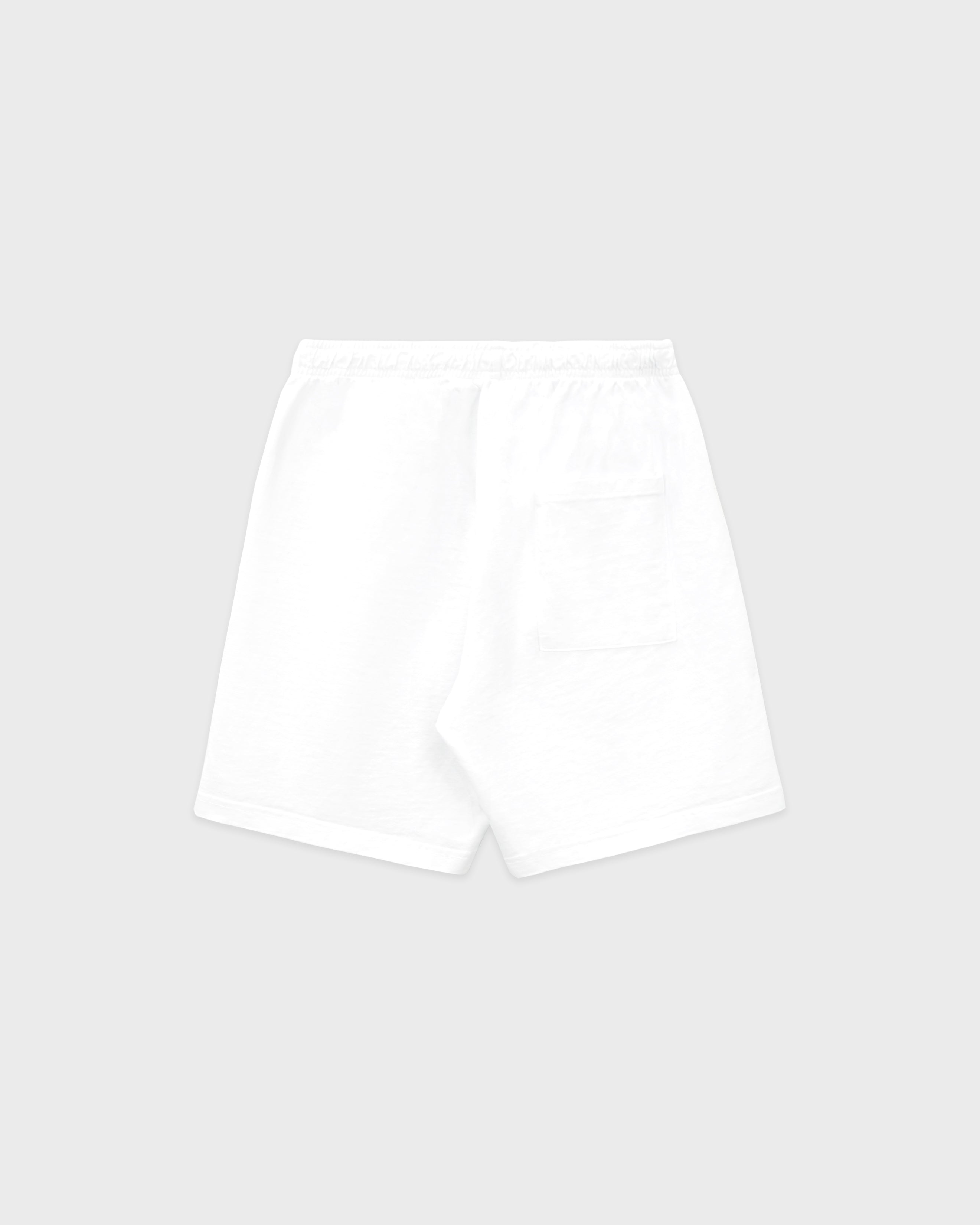 NY Minute Gym Short - White/Navy