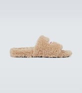 Political Campaign Furry slides