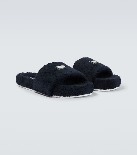Terry slides