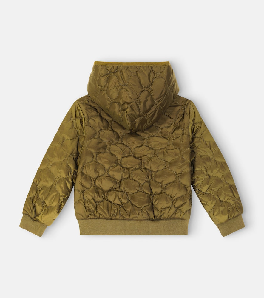 Teddy Bear quilted jacket