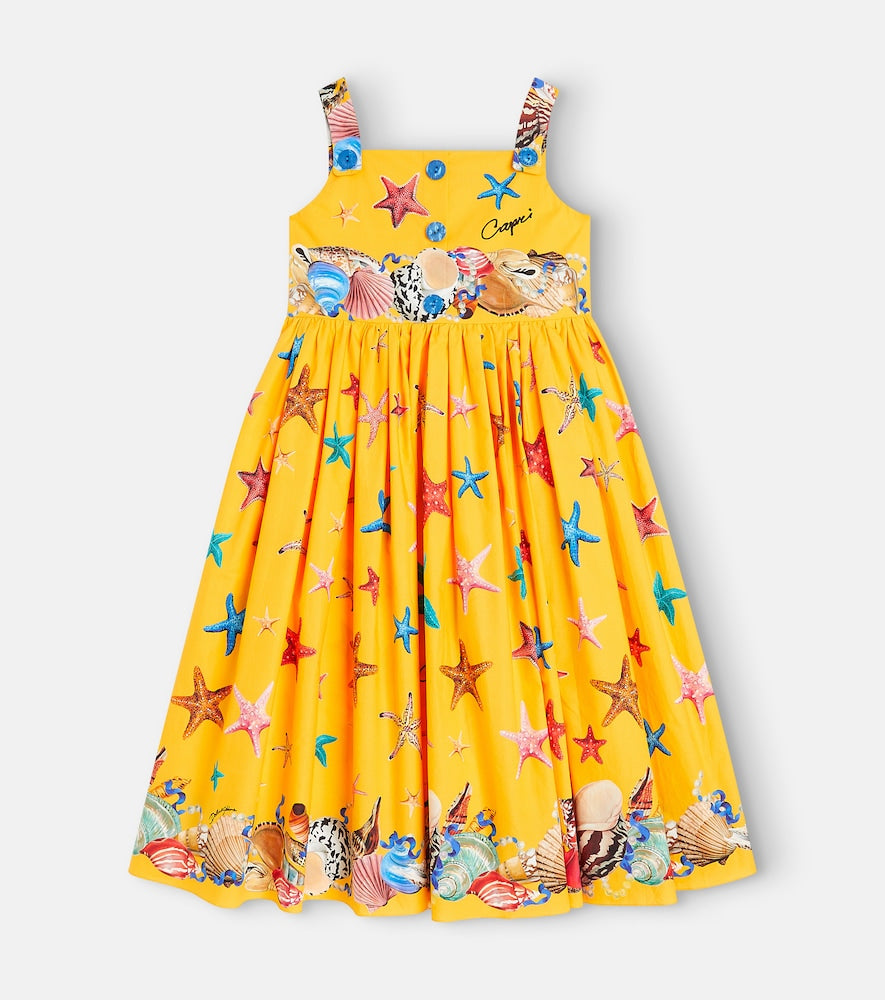 Capri printed cotton poplin dress